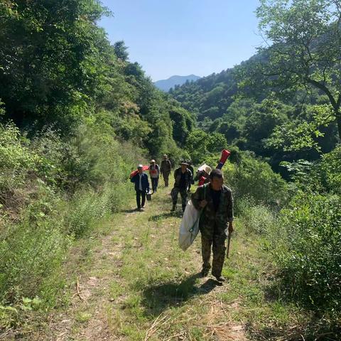 林草湿调查监测记事：挥汗撒向绿海 足迹踏遍青山