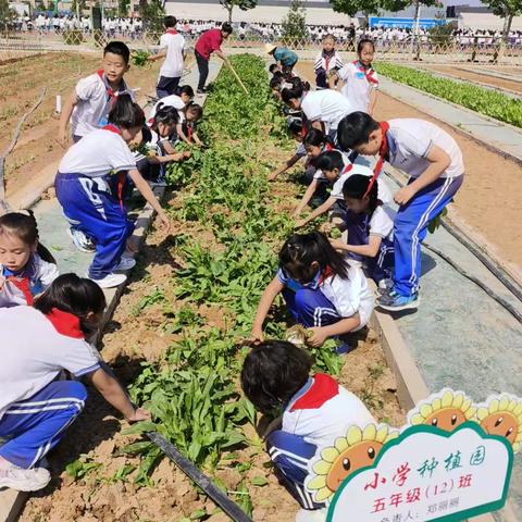 翼城县汇丰学校2024年春季学期第十六周食谱