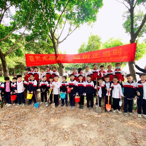 “春光无限好，植树正当时”古定中心小学2209班学植树活动