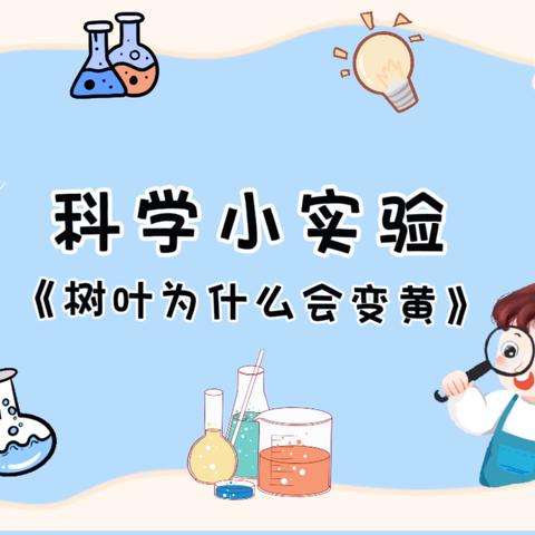 新道街小学科学实验探索 ‍【树叶🍂为什么会变黄】