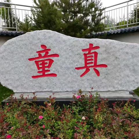 爱国情怀润童心 匠心深耕育桃李