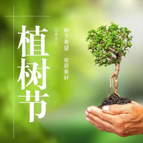 春暖花开  “植”得期待‖瑞龙幼儿园植树节活动