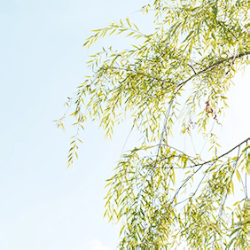 浆田小学2025年清明节放假通知及温馨提示