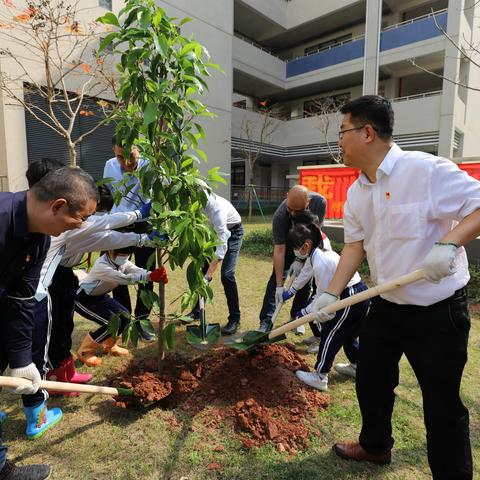 我与小树同成长 ——沙面小学“护林有我，地球添点绿”植树节专题活动