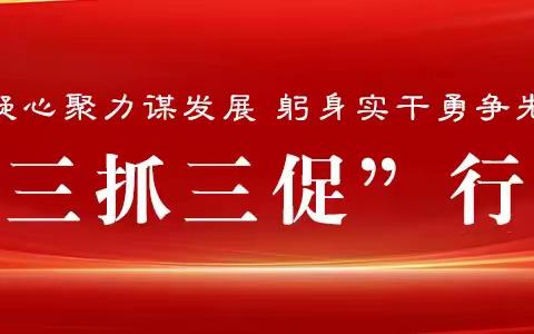 柳林村“三抓三促”行动进行时