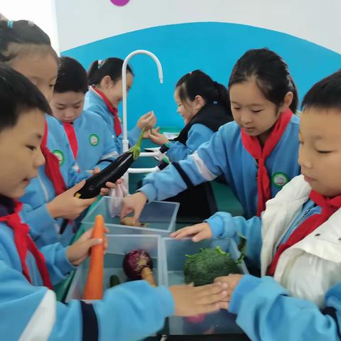 探秘植物“身体密码”——丛台区外国语小学三年级科学实践活动