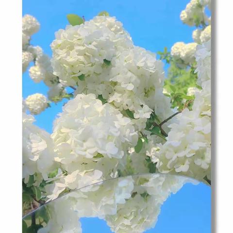 女神节，看我们的行动