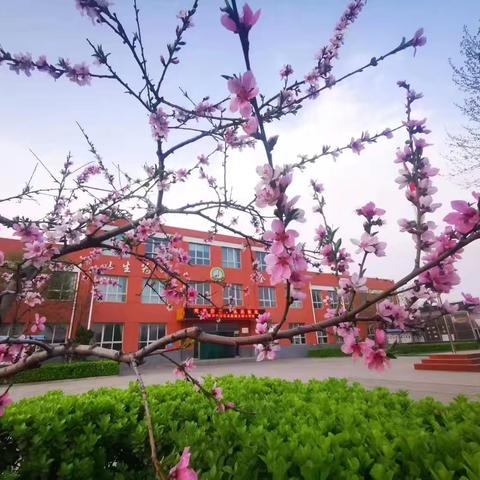 探索植物奥秘，感知生命之美——北格镇东蒲小学研学旅行活动