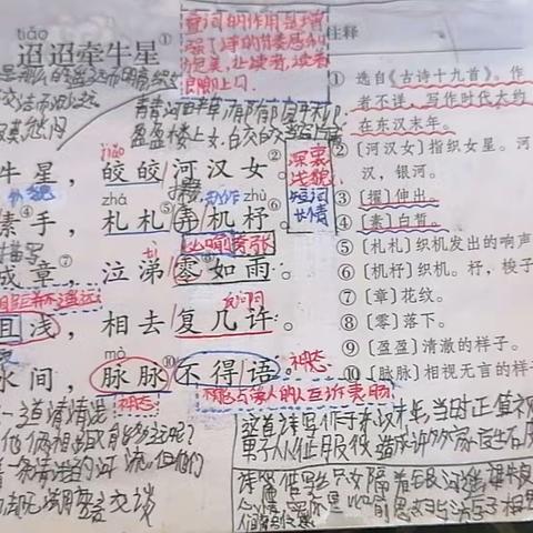 红旗小学六年级假期学习第八天