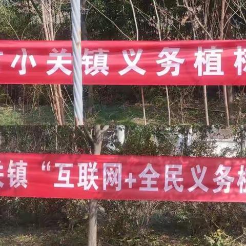 春风催新绿，植树正当时——小关镇开展春季义务植树活动