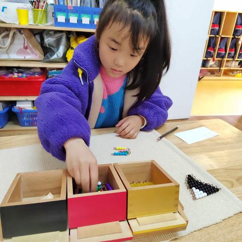 3.27-3.31蒙氏工作周报