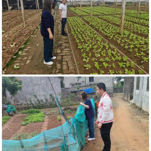 灵山镇群山村开展非法种植制毒原植物踏查铲除情况排查