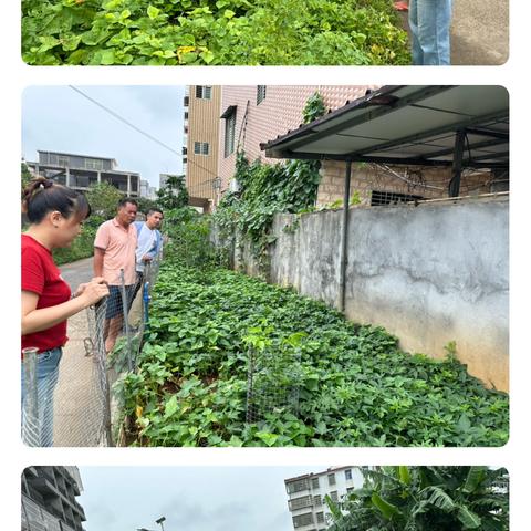 群山村开展非法种植制毒原植物踏查工作