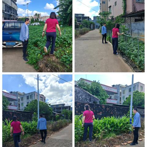 群山村开展2025年第三季度非法种植制毒原植物踏查铲除专项行动