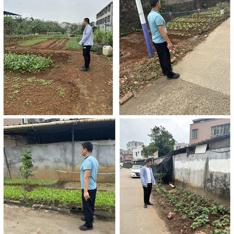 群山村开展2025年第四季度非法种植制毒原植物铲除专项行动