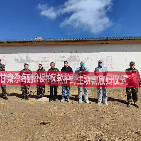 尕海保护站孟繁森的简篇