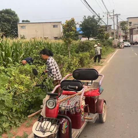 小介山村清理道路杂草