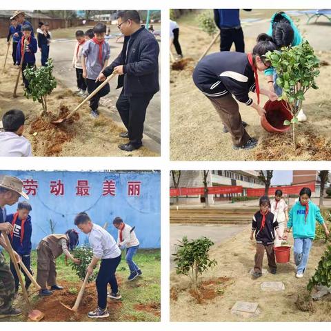 射埠镇中心小学“拥抱春天 “植”此青绿”植树节活动