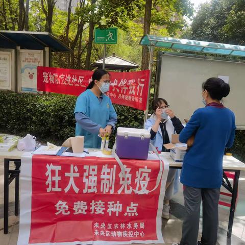 【宠物打疫苗，服务进社区 】谭家街道香克林社区开展狂犬疫苗免费接种活动