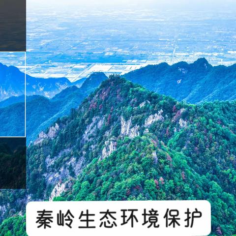 【滦镇街道东街社区啄木鸟志愿服务】《陕西省秦岭生态环境保护条例》宣传活动