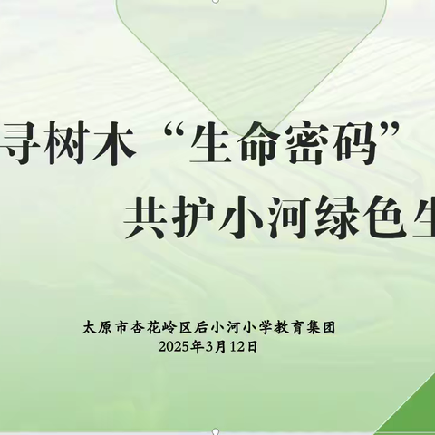 探寻树木“生命密码” 共护小河绿色生态 后小河小学教育集团 2025 年绿色生态劳动课程主题活动