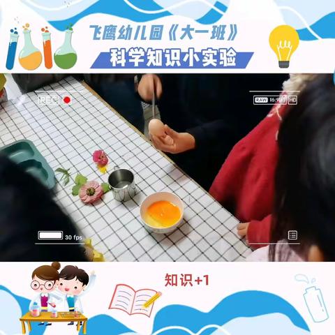 飞鹰幼儿园的简篇