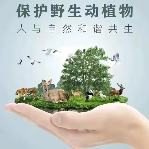 塔尔坡学校保护野生动物倡议书