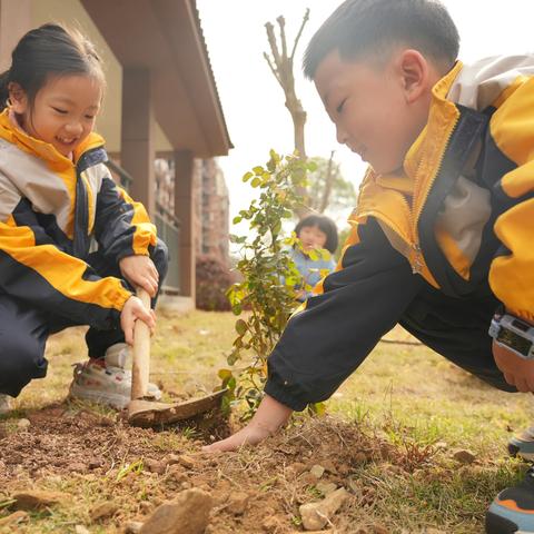 播种绿色  共享蓝天----新安江第二小学向阳花中队文明城市小队植树活动