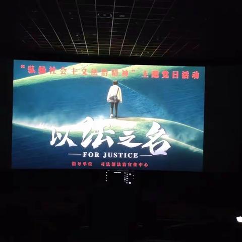 美兰区新埠街道组织开展观看《以法之名》主题党日活动