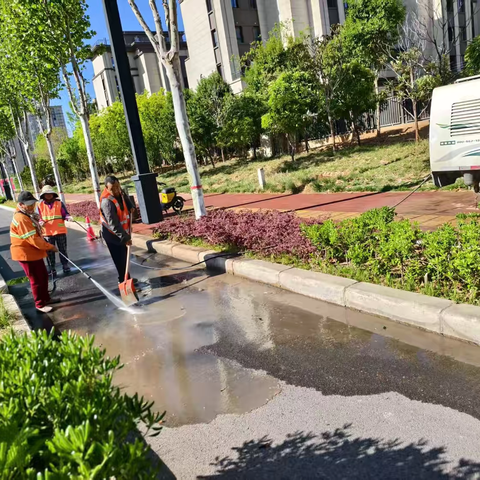 闻“风”而动 逆“风”而行——市建管局集中开展大风后深度清洁行动