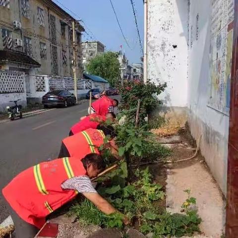 顺城关吕荣的美篇