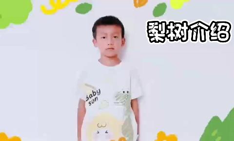 红塔区春和中心幼儿园植物简介——梨树