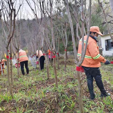 涉县公路站掀起公路美化新高潮