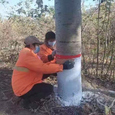 涉县干线公路冬季养护