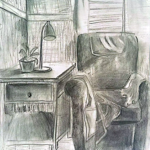 【五年级以上】光影下的黑白灰-素描