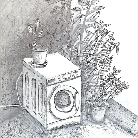 【五年级以上】趣味儿素描——黑白灰色阶训练