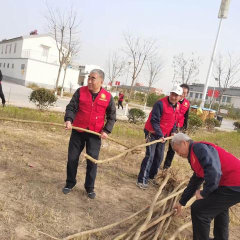 “走近黄河  植此青绿”——东明县老干部志愿服务队开展义务植树活动助力黄河流域生态保护