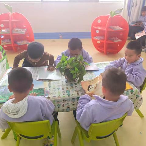 中二班课程故事《我喜欢》——一场关于发现与表达的成长之旅