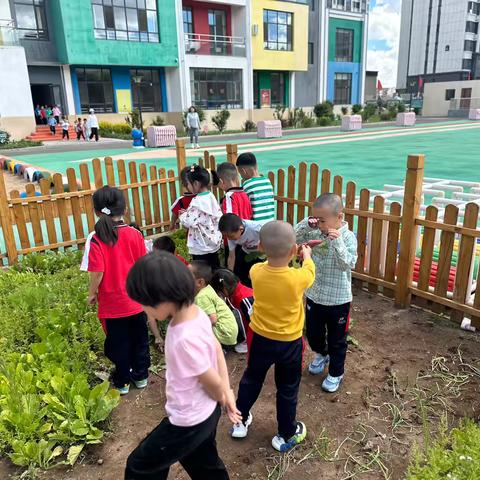 集宁区第六幼儿园中三班5月精彩回顾