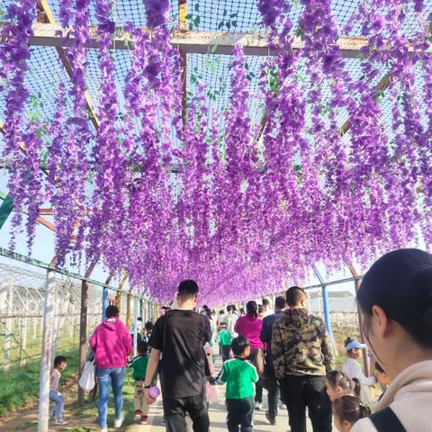 佩奇宝贝幼儿园植树节活动— 播种希望   种植美好 —