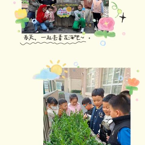 “种下梦想的种子，点缀最美的校园”——芜湖市育红小学一年级“一米花箱”种植活动（一）