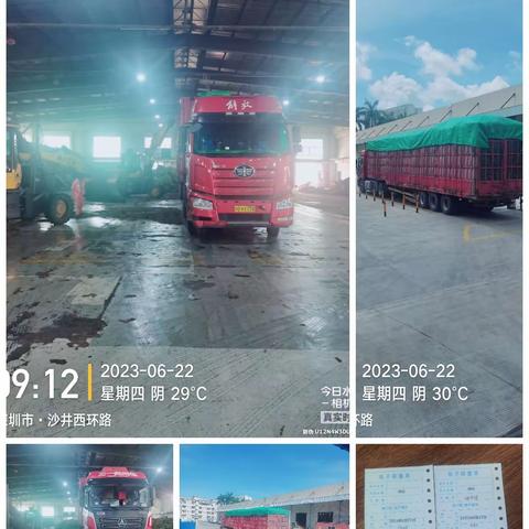 新樟环保废旧家具绿化处理部2023年6月22日日志