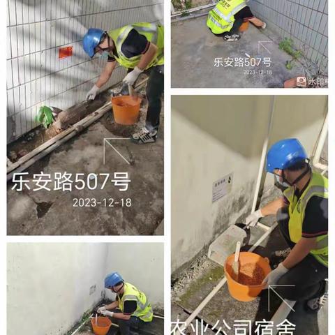 2023年12月18日海南建银县城进行病媒生物防制工作如下