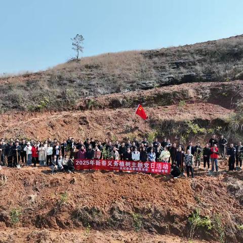 植树添新绿 不负好春光|霞峰镇开展2025年新春义务植树活动