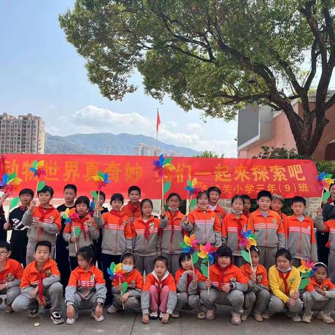 动物的世界真奇妙让我们一起来探索吧！             城关小学三年（9）班研学活动