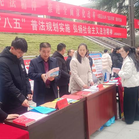 山阳县残联积极参与2024年“12.4”国家宪法日暨“宪法宣传周”主题宣传活动