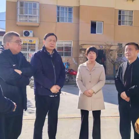 省市残联领导来山检查残疾人就业、培训工作