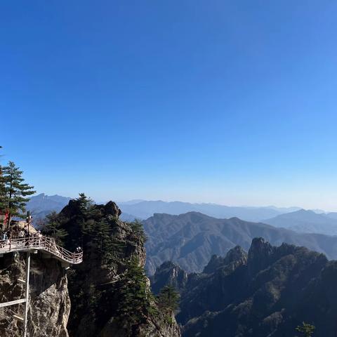 学习爱情学，让我重新认识了自己