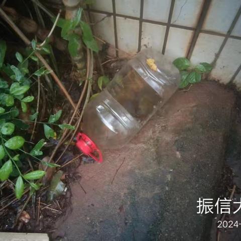 2024年09月24日海口尚虹公司在海甸街道病媒生物防制工作日志