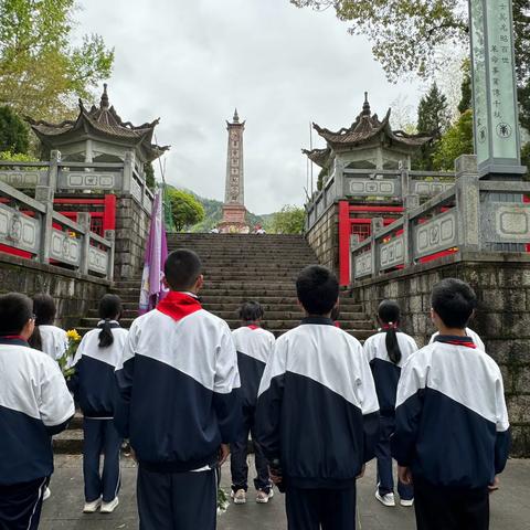 【和乐德育】清明祭英烈，红色基因传—景宁民族中学802中队清明节祭英烈活动